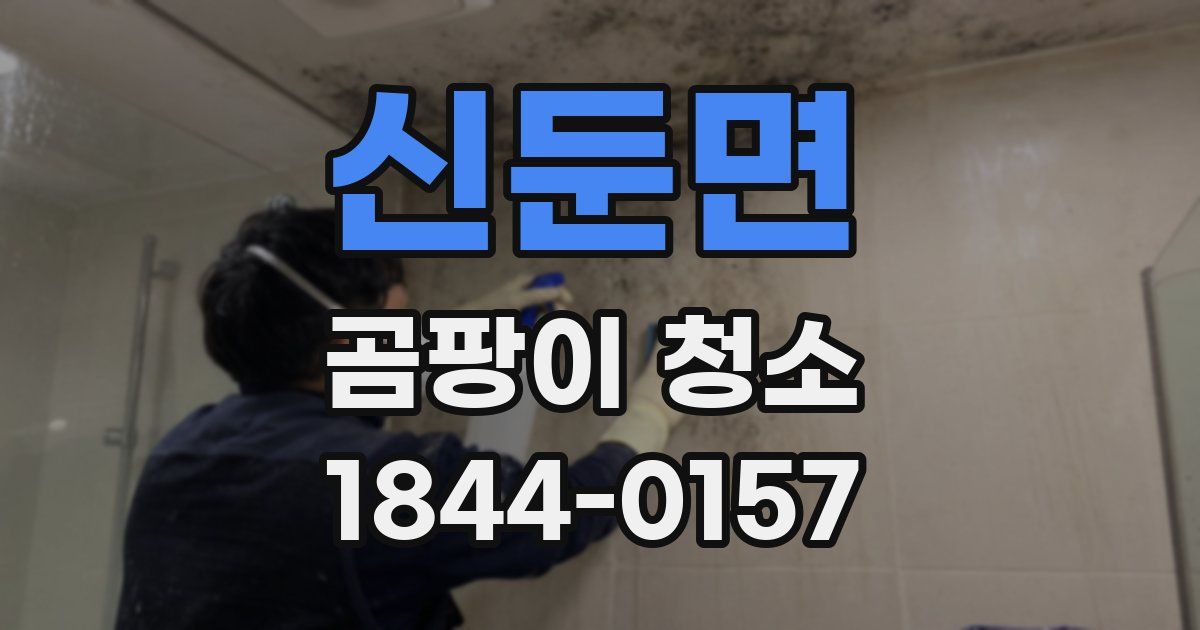 신둔면 곰팡이 청소
