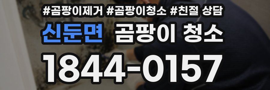 신둔면 곰팡이 청소