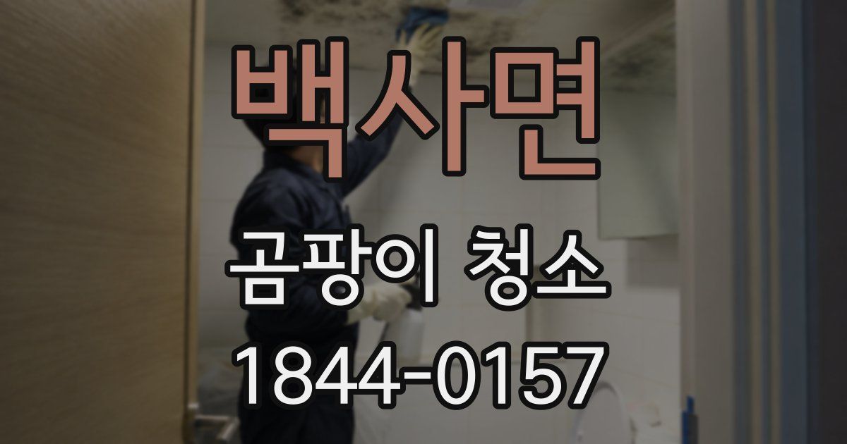 백사면 곰팡이 청소