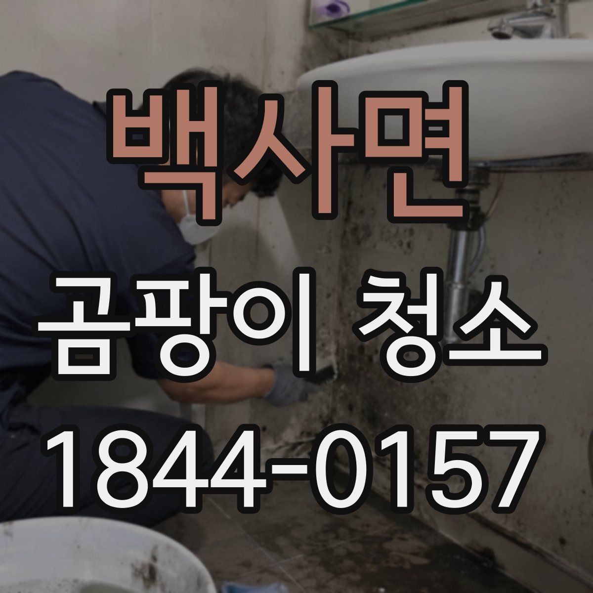 백사면 곰팡이 청소