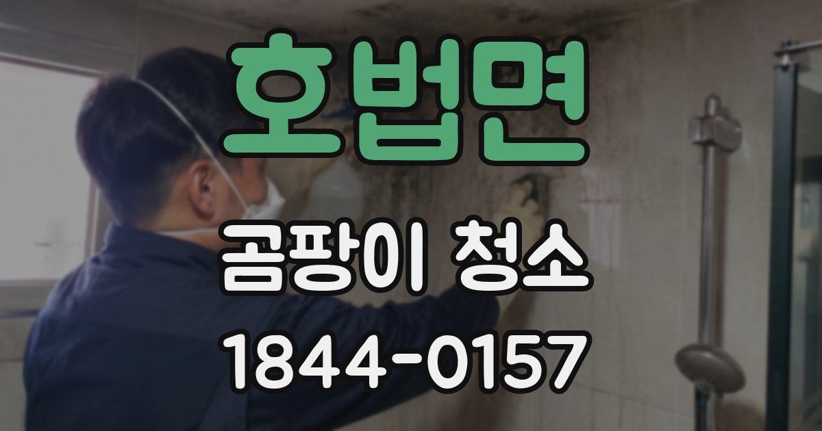 호법면 곰팡이 청소