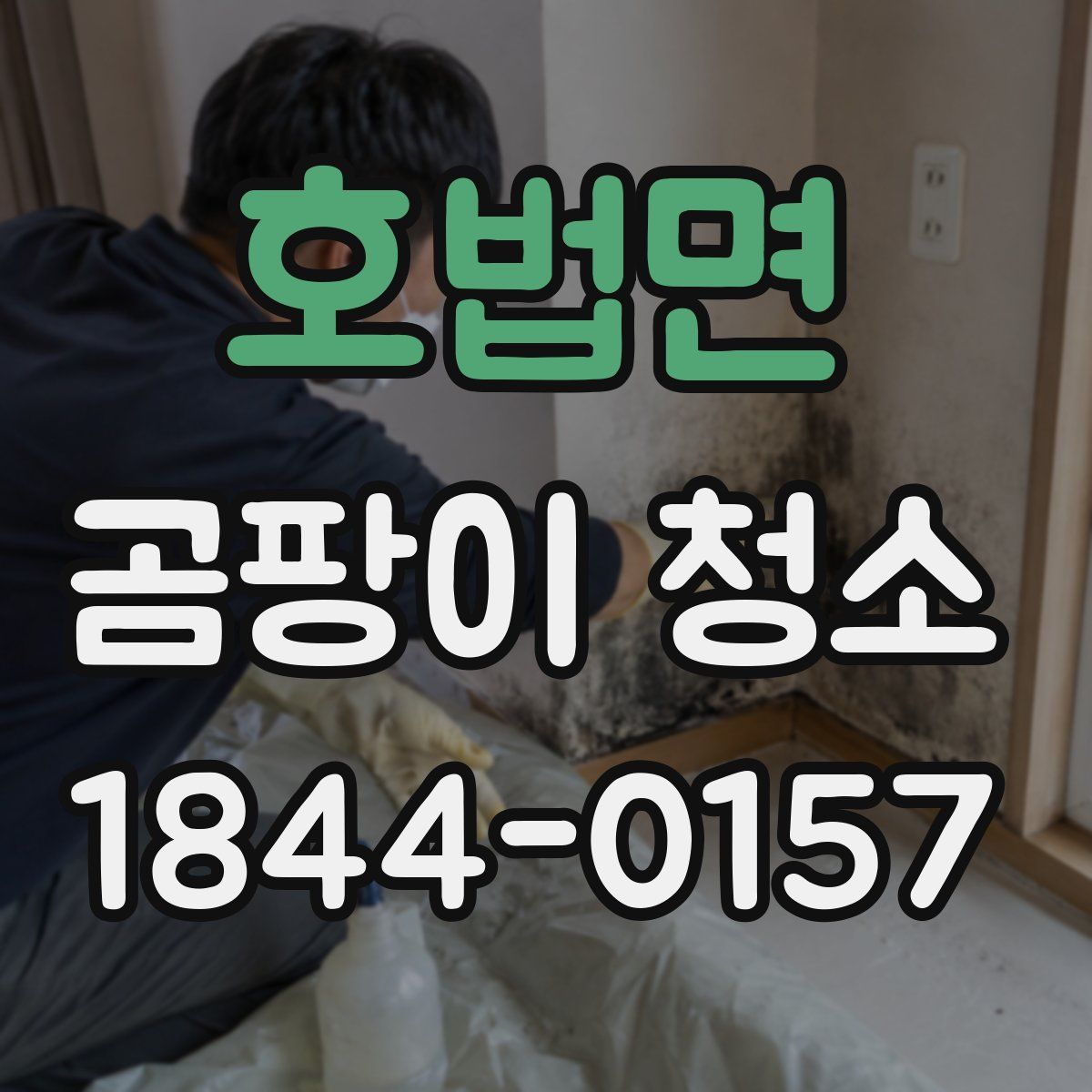 호법면 곰팡이 청소