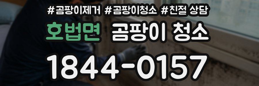 호법면 곰팡이 청소