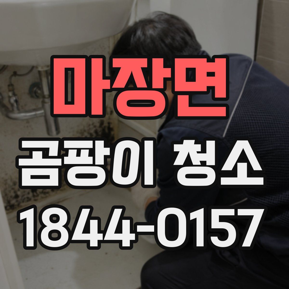 마장면 곰팡이 청소