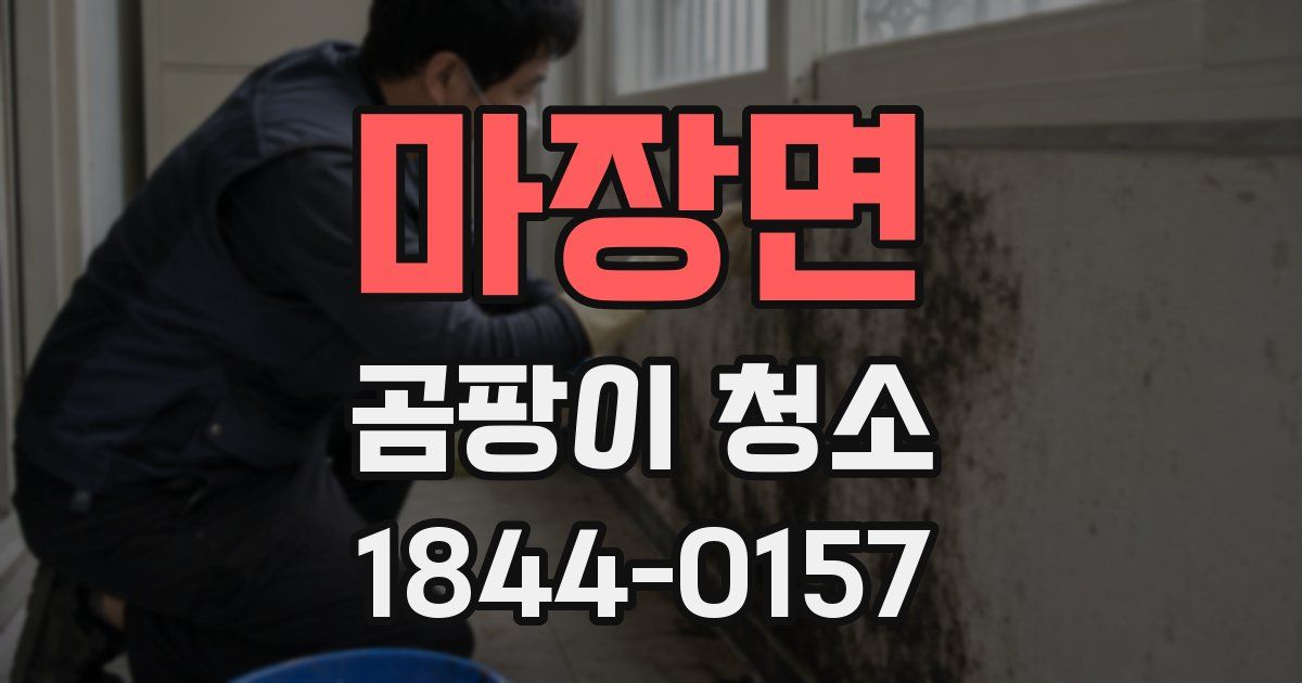 마장면 곰팡이 청소