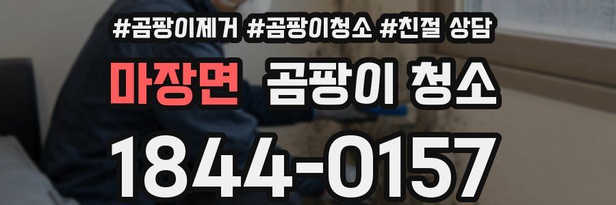 마장면 곰팡이 청소