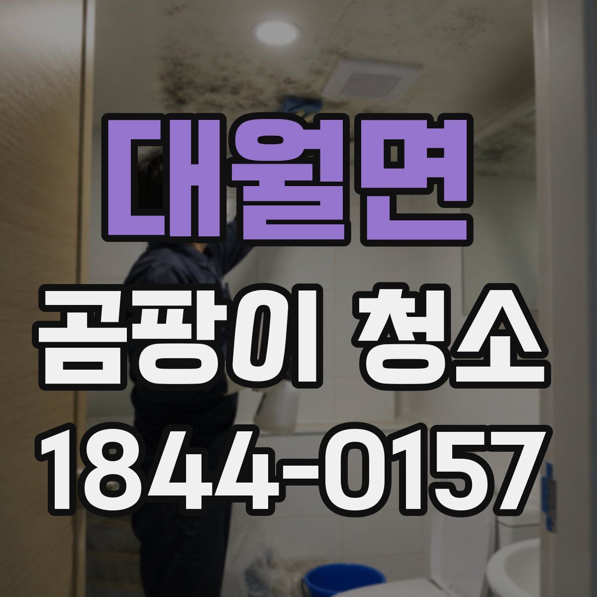 대월면 곰팡이 청소