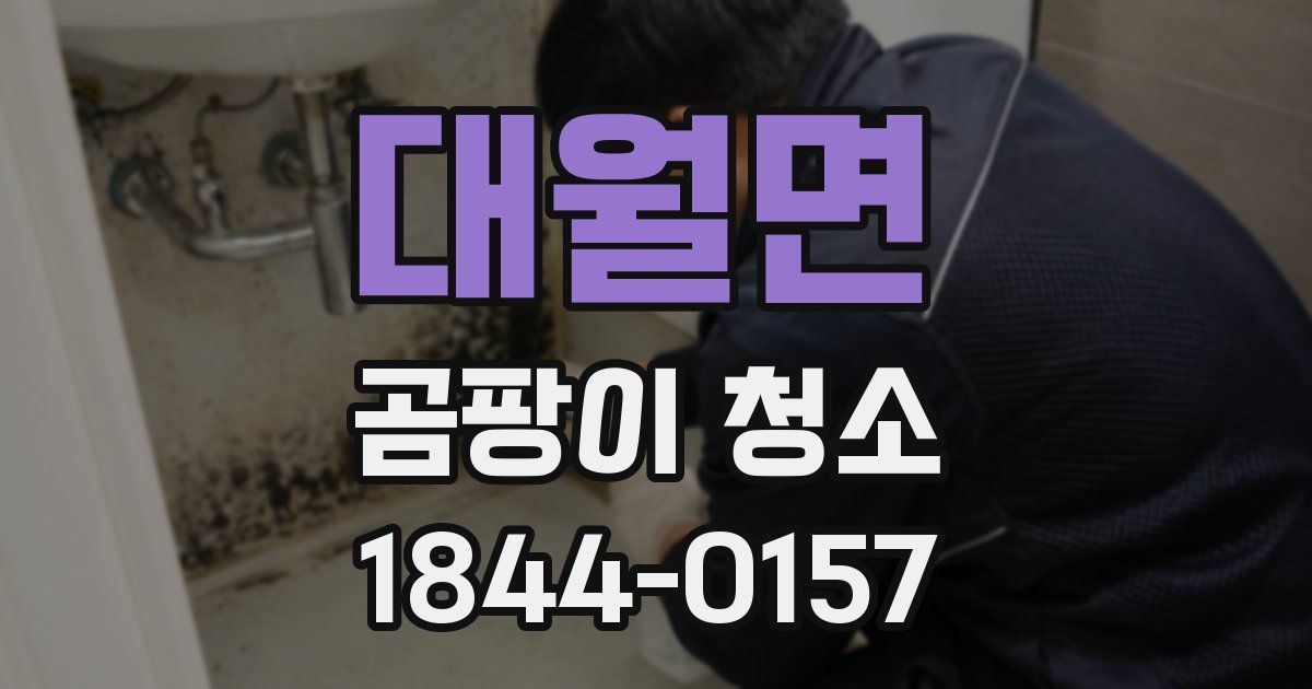 대월면 곰팡이 청소