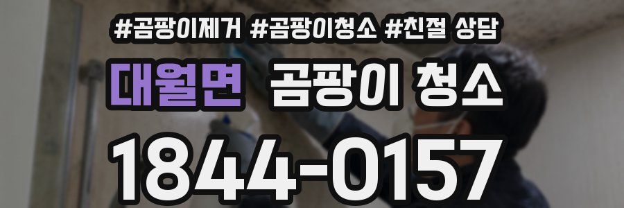 대월면 곰팡이 청소