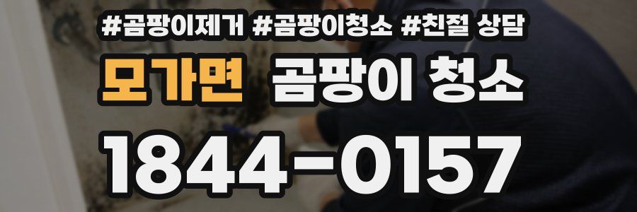 모가면 곰팡이 청소