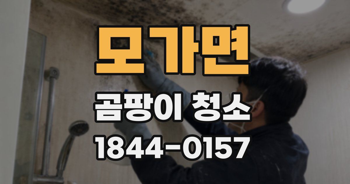 모가면 곰팡이 청소