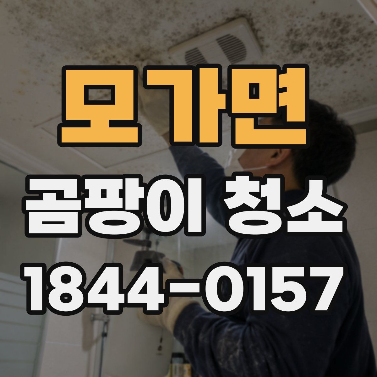모가면 곰팡이 청소