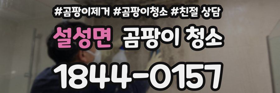 설성면 곰팡이 청소