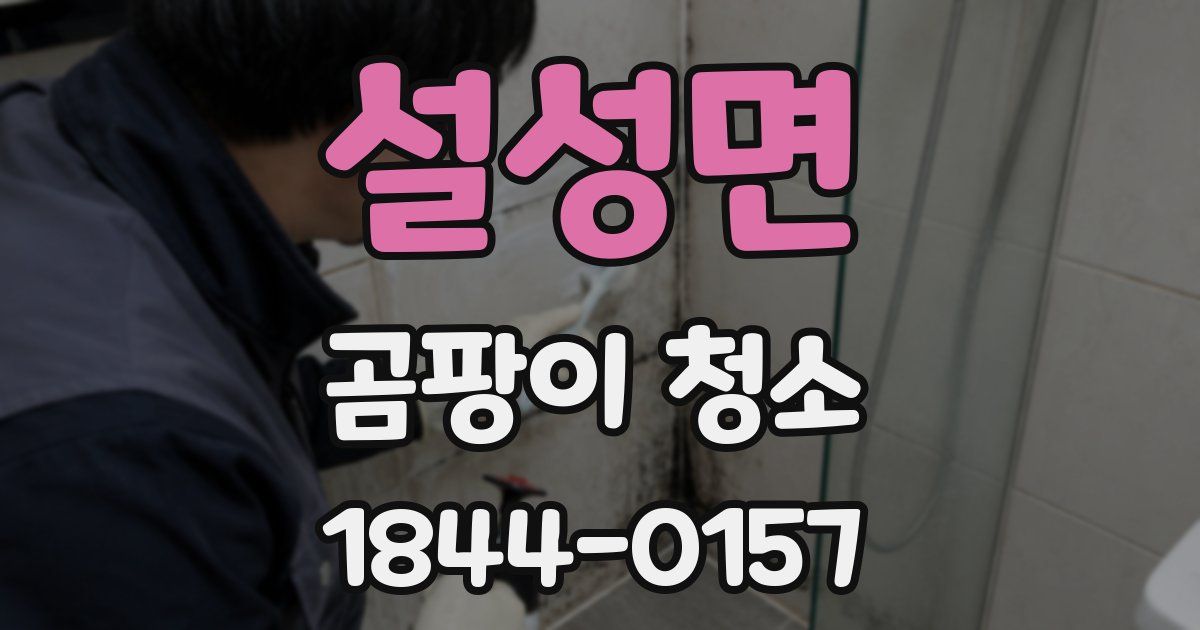 설성면 곰팡이 청소