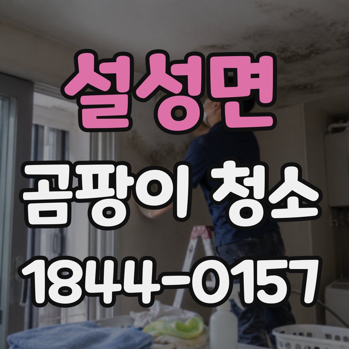 설성면 곰팡이 청소