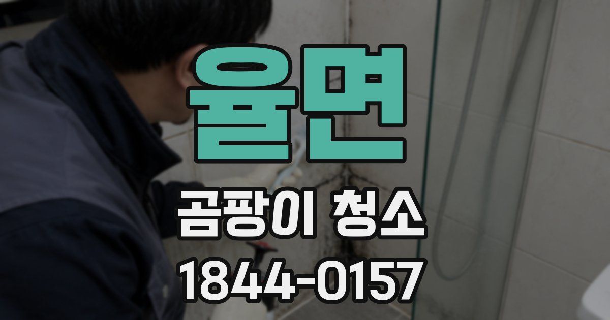 율면 곰팡이 청소