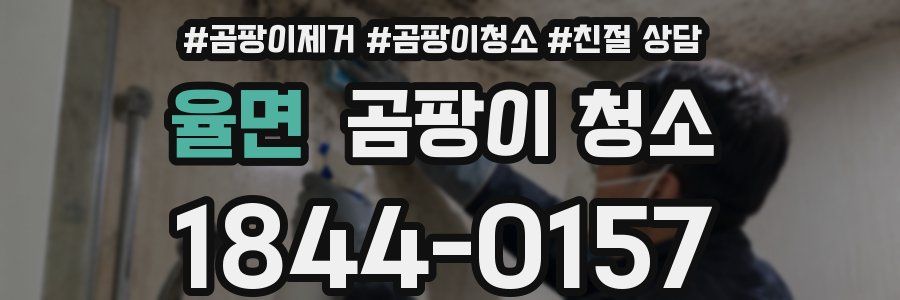 율면 곰팡이 청소