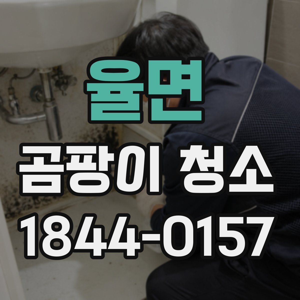율면 곰팡이 청소