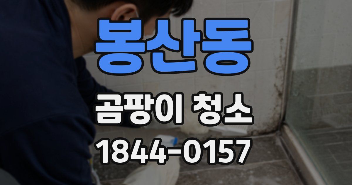 봉산동 곰팡이 청소