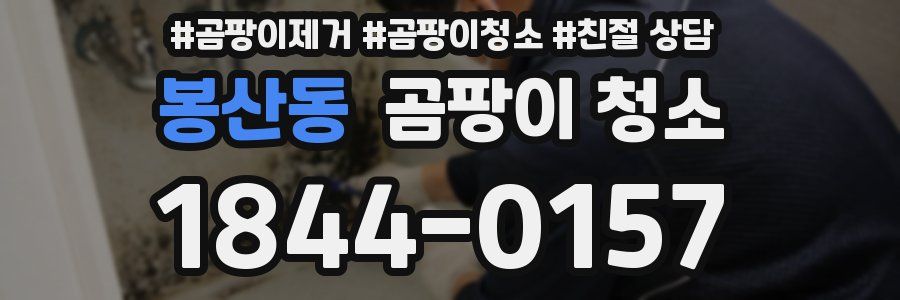 봉산동 곰팡이 청소