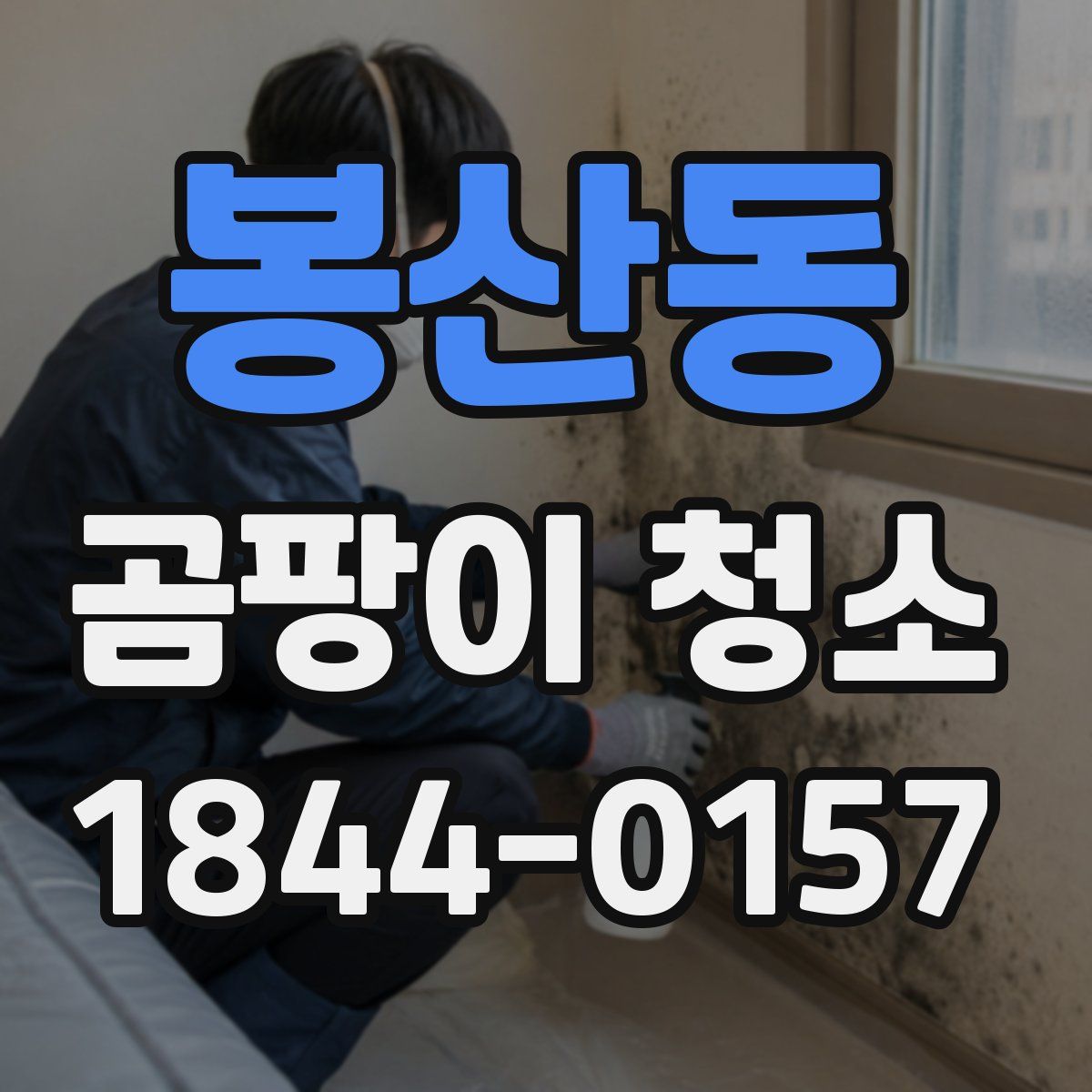 봉산동 곰팡이 청소