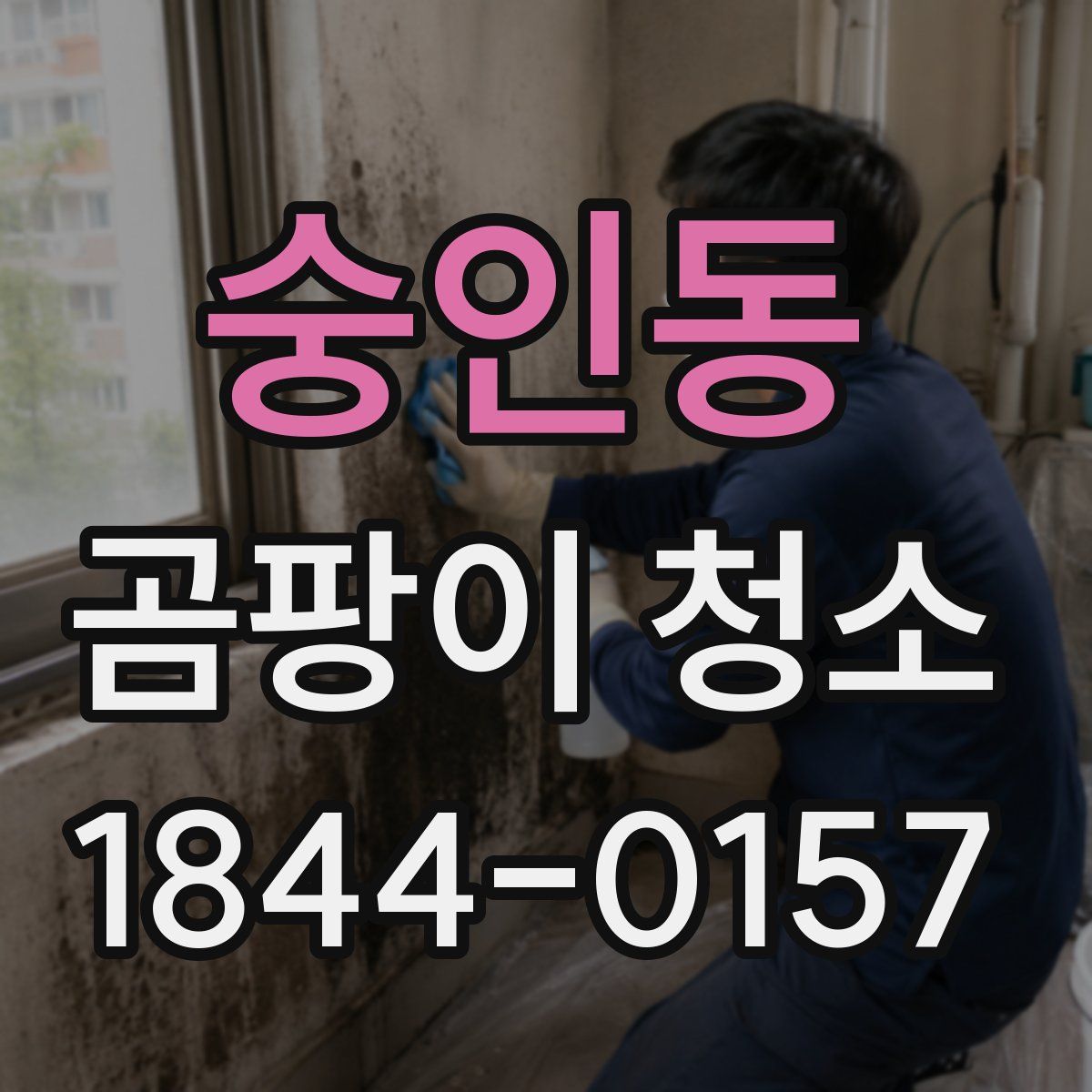 숭인동 곰팡이 청소