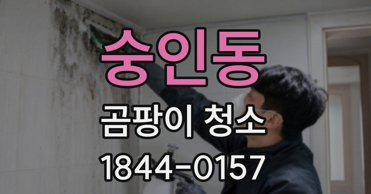 숭인동 곰팡이 청소