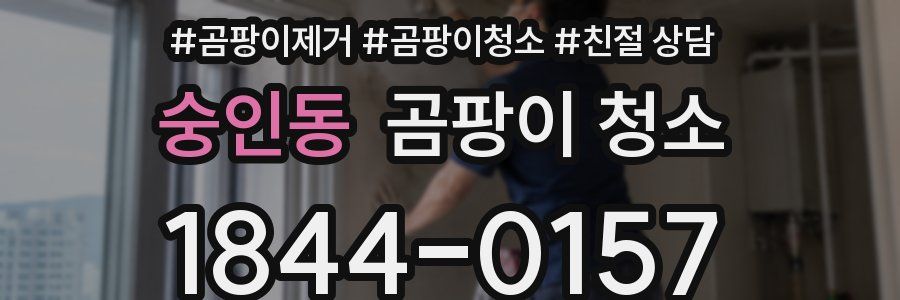 숭인동 곰팡이 청소