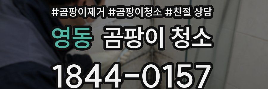 영동 곰팡이 청소