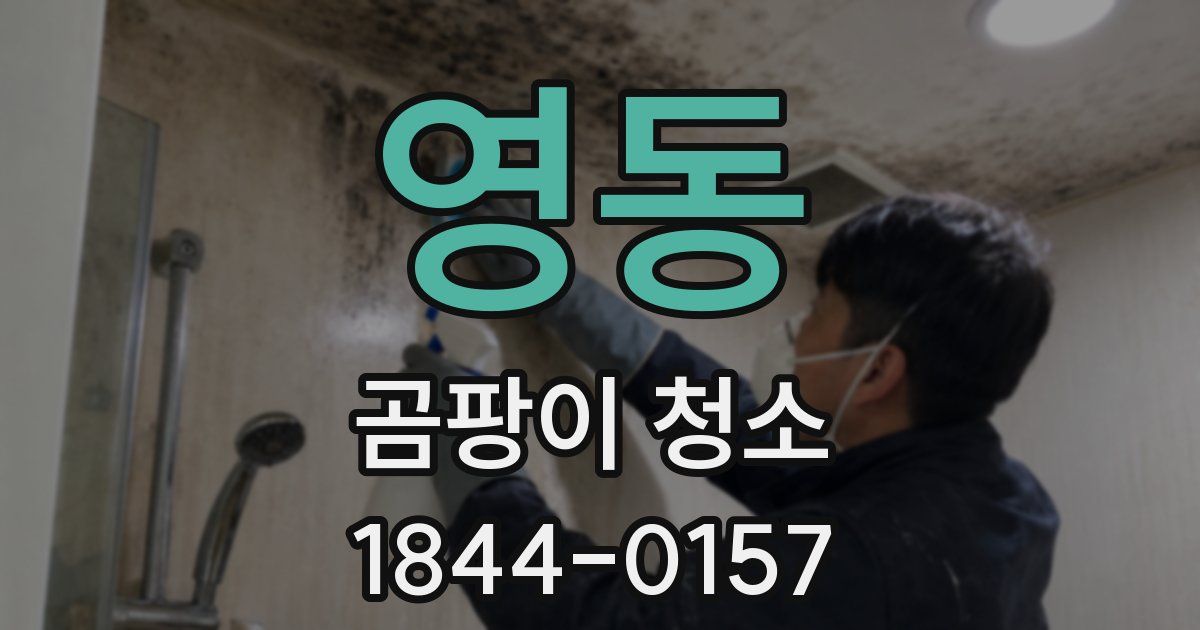 영동 곰팡이 청소