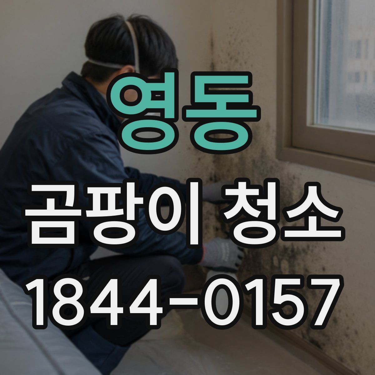 영동 곰팡이 청소