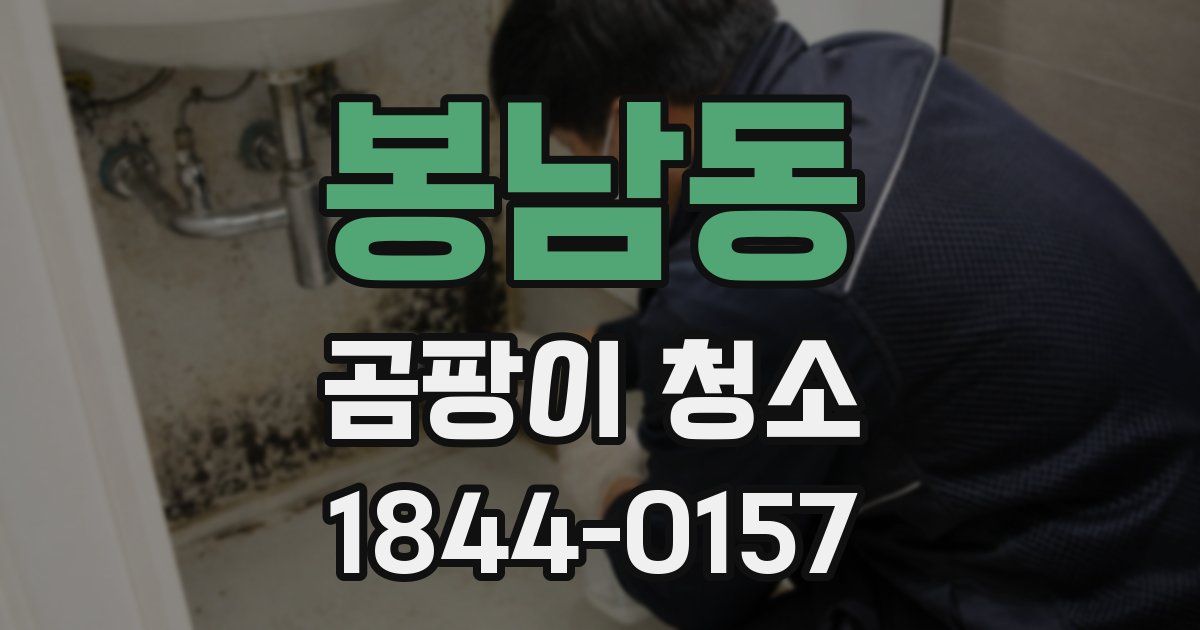 봉남동 곰팡이 청소