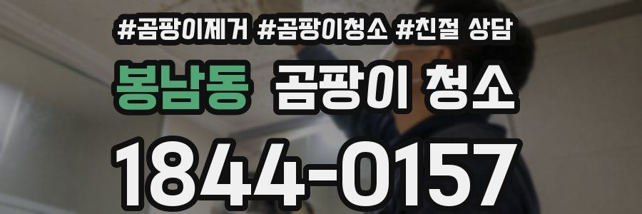 봉남동 곰팡이 청소