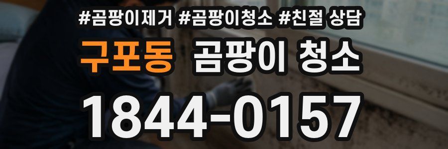 구포동 곰팡이 청소