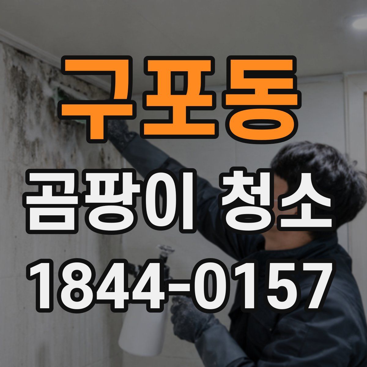 구포동 곰팡이 청소