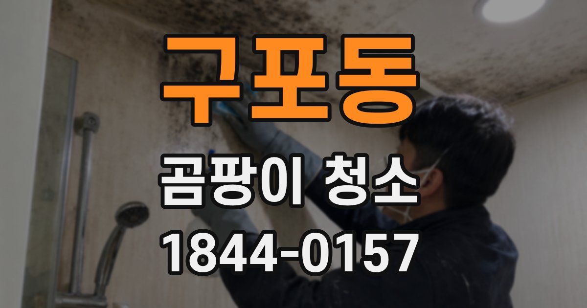 구포동 곰팡이 청소