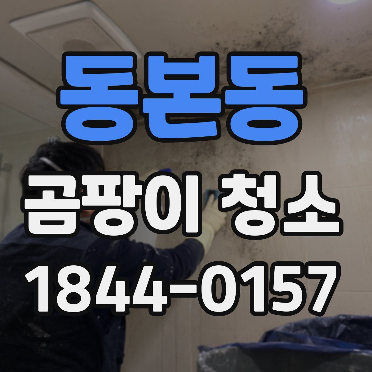 동본동 곰팡이 청소