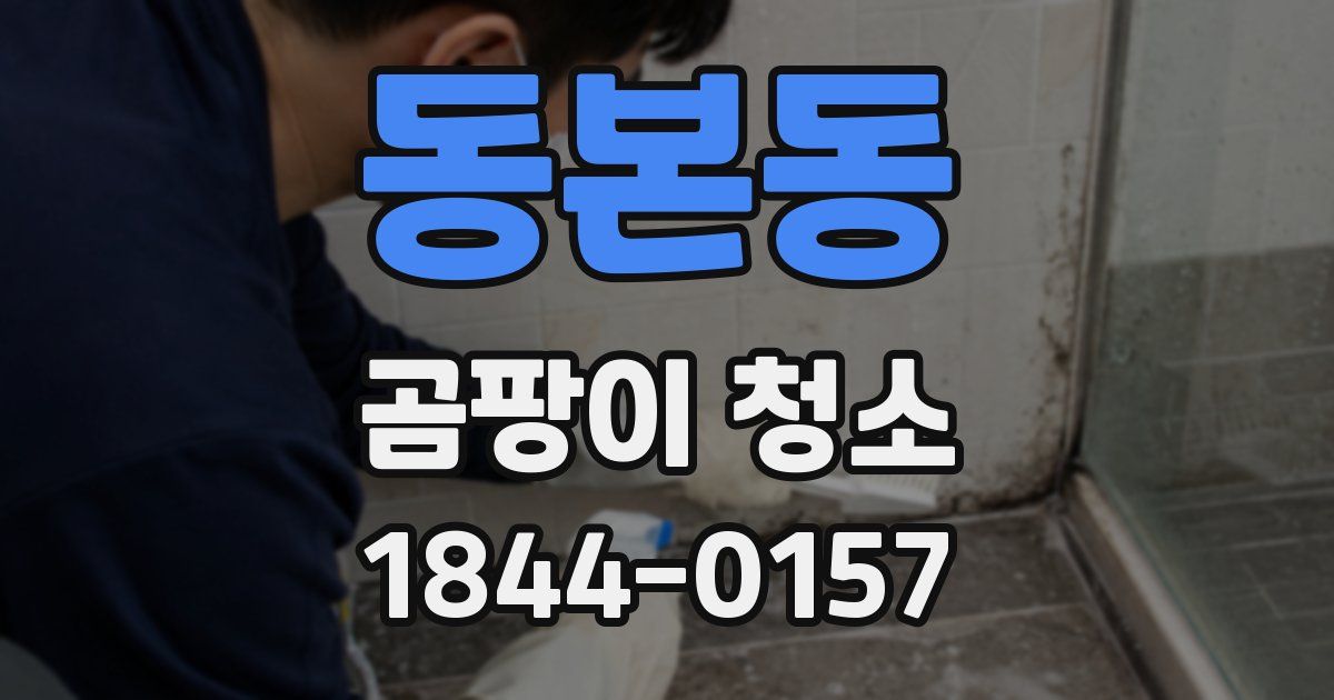 동본동 곰팡이 청소