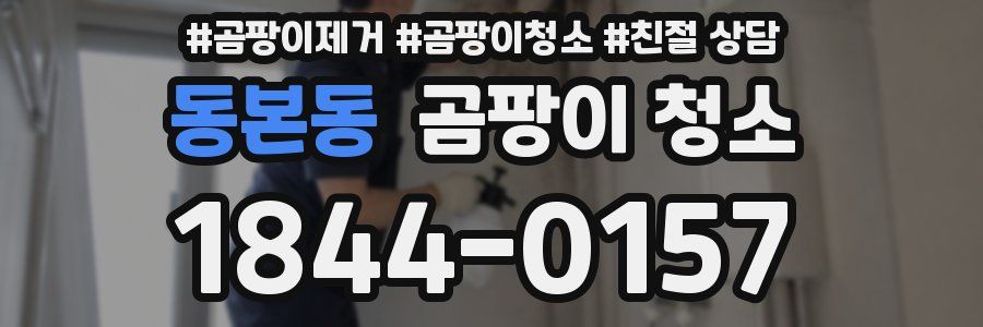 동본동 곰팡이 청소