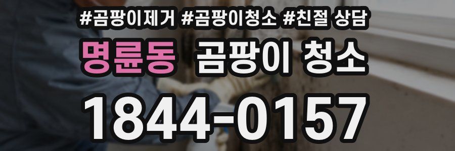 명륜동 곰팡이 청소
