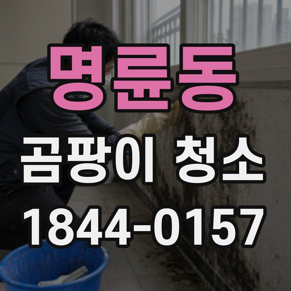 명륜동 곰팡이 청소