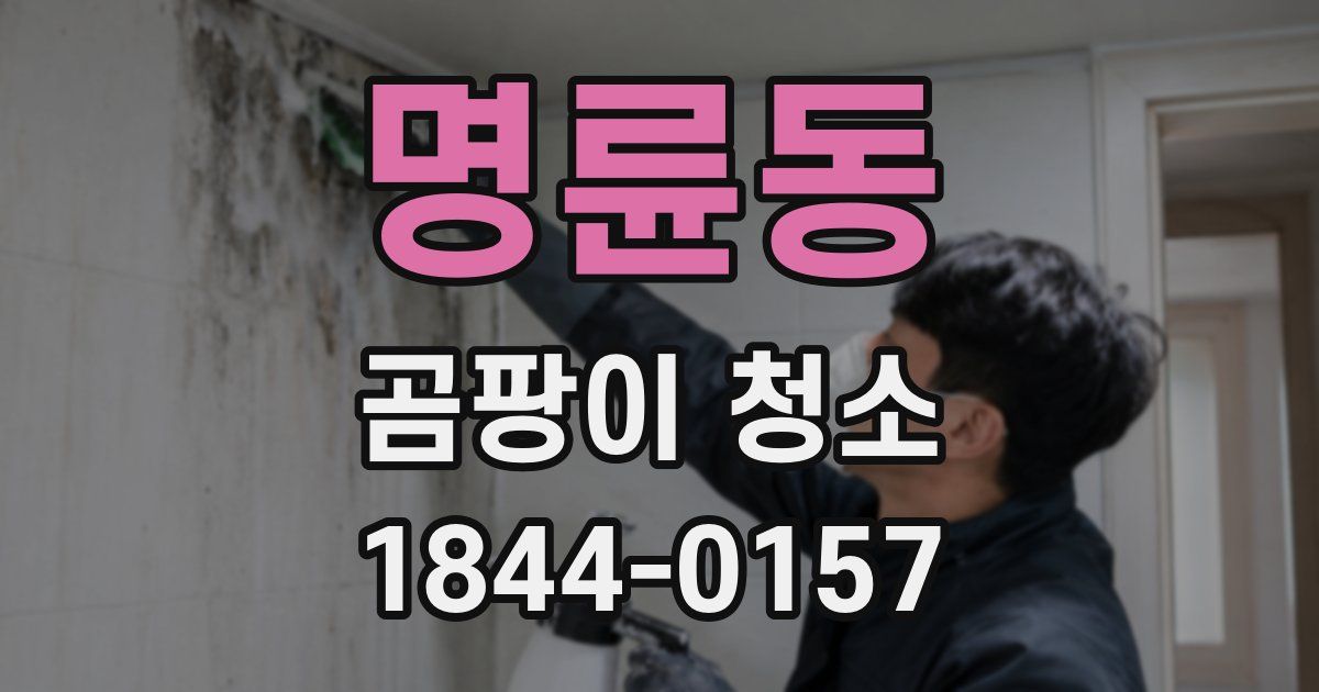 명륜동 곰팡이 청소