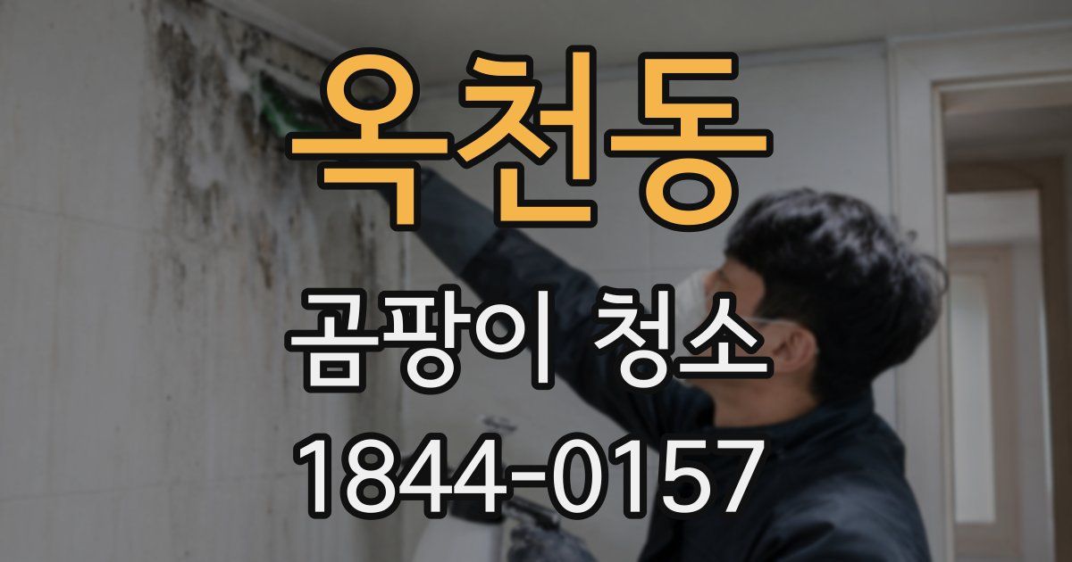 옥천동 곰팡이 청소