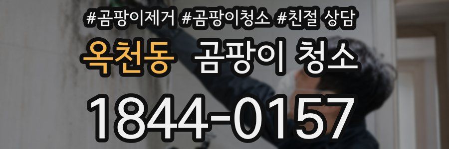 옥천동 곰팡이 청소