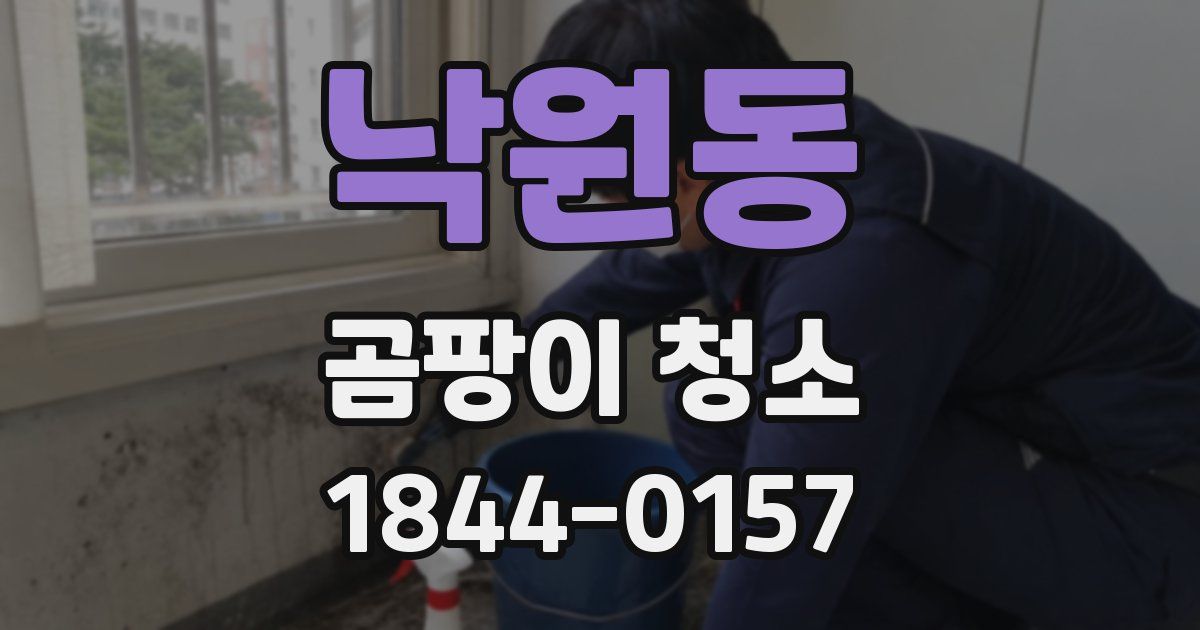 낙원동 곰팡이 청소