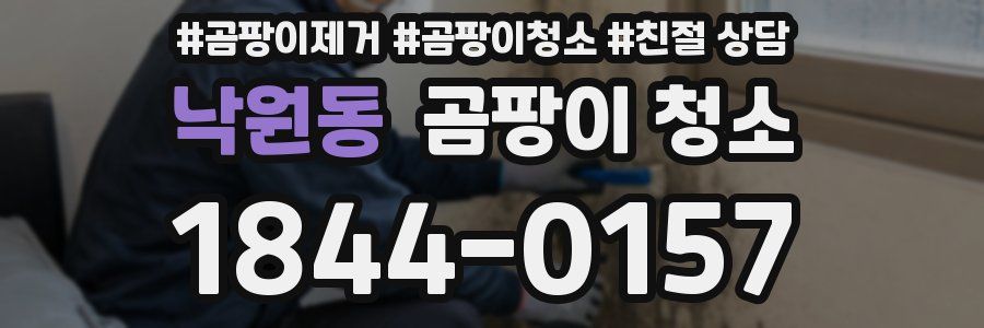 낙원동 곰팡이 청소