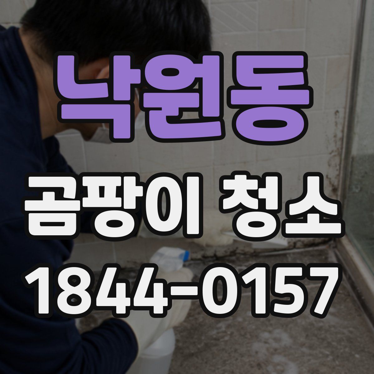 낙원동 곰팡이 청소