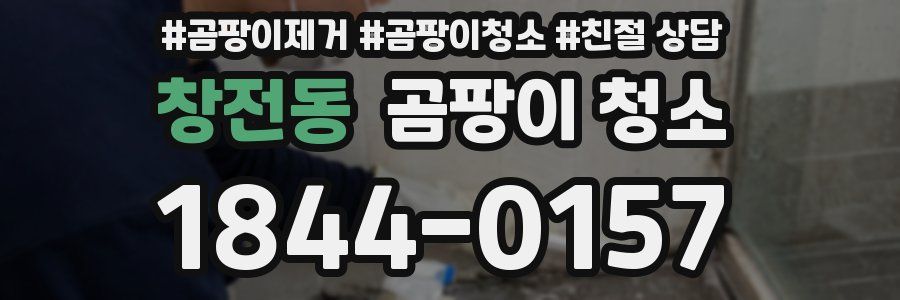 창전동 곰팡이 청소