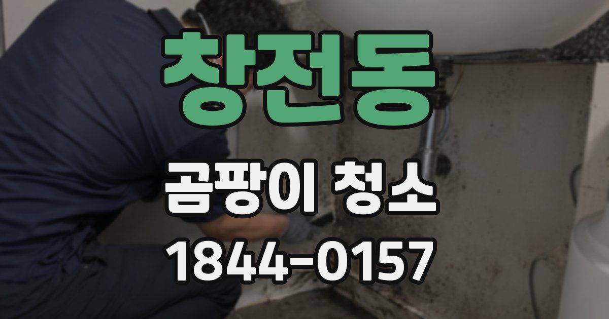 창전동 곰팡이 청소