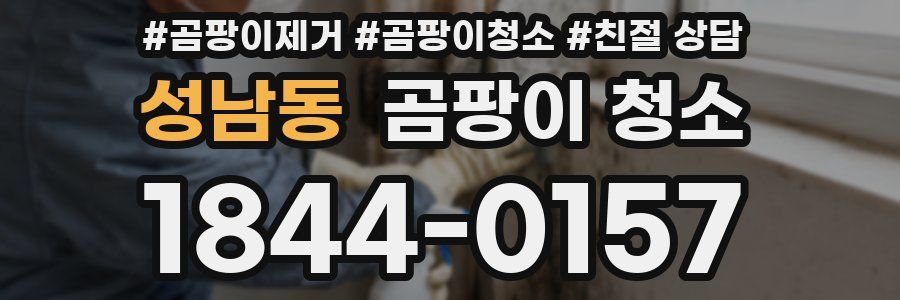 성남동 곰팡이 청소